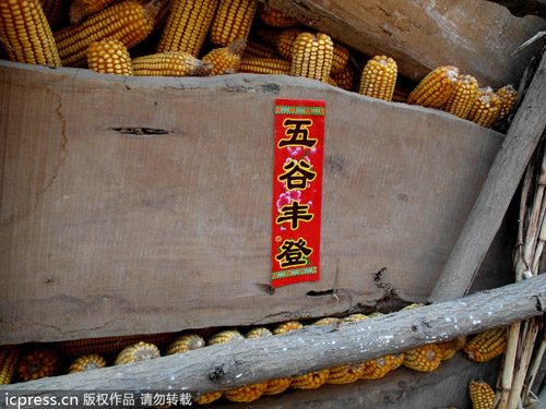 農(nóng)民工資性收入占比首超家庭經(jīng)營(yíng)收入