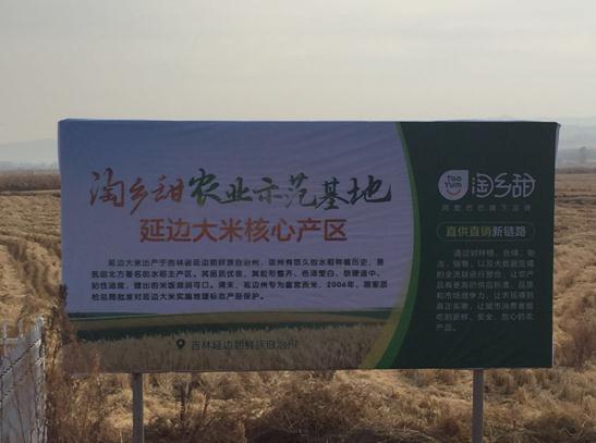 農村淘寶全國23個示范基地掛牌 聯(lián)合天貓盒馬零售通落地新零售