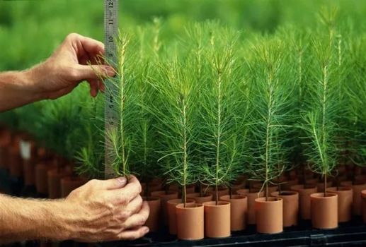 12月新規(guī)來了！都是好消息 第一條就讓你超省錢